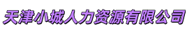 天津小城人力资源有限公司